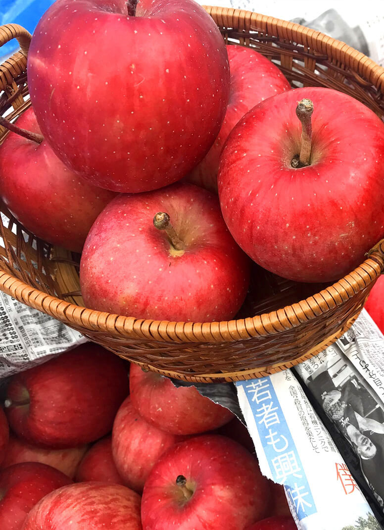 白神山地の雪室で熟成したりんご