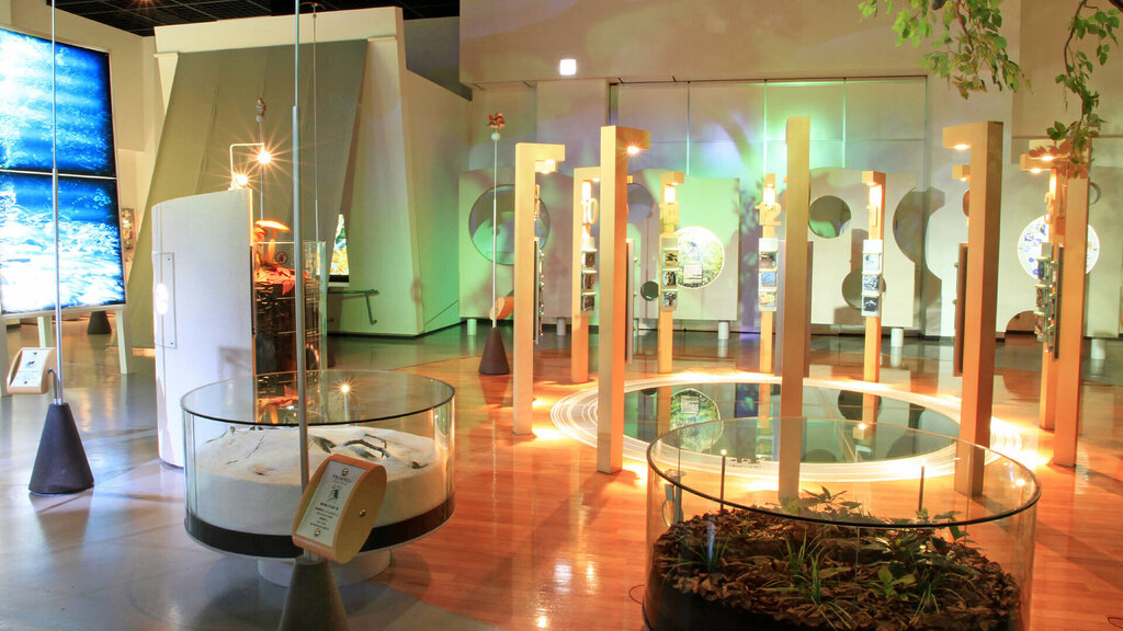 第30回 白神山地ビジターセンターふれあいデー