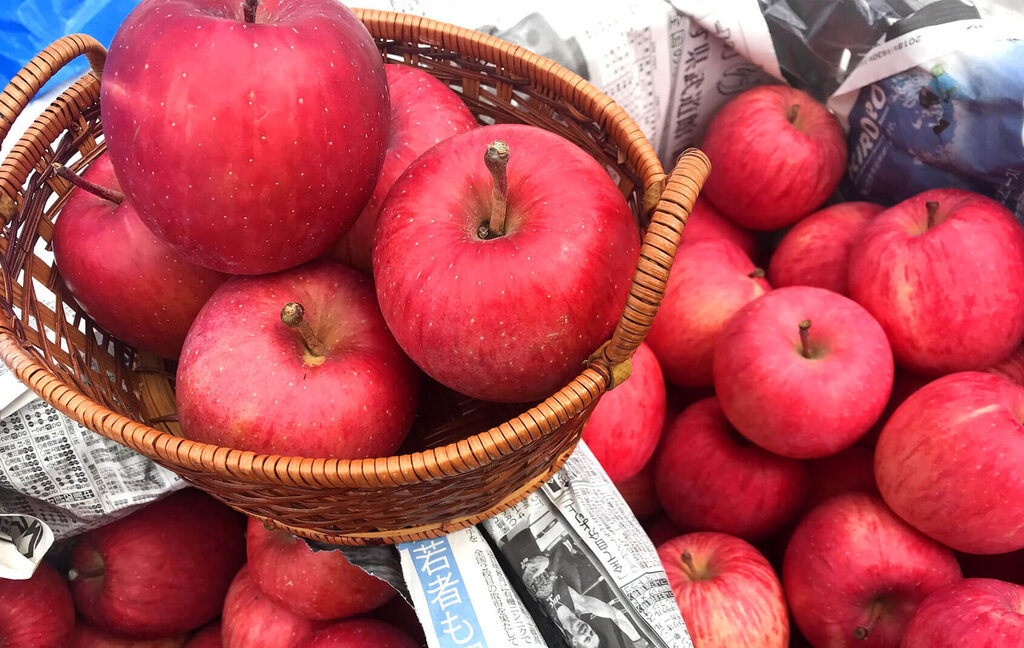 雪室りんご販売