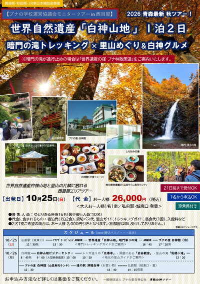 flyer.jpg