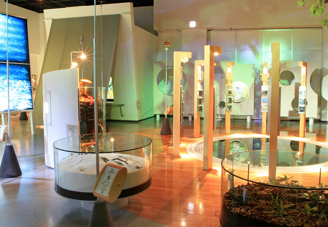 白神山地ビジターセンター