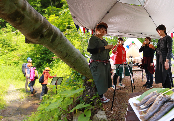 [世界遺産登録30周年]白神山地散策とBBQを楽しむアウトドアコース