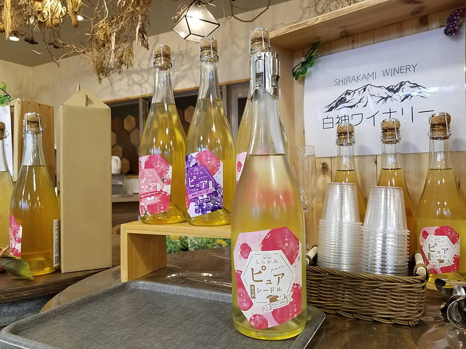 白神ワイナリー見学&お酒飲み比べ